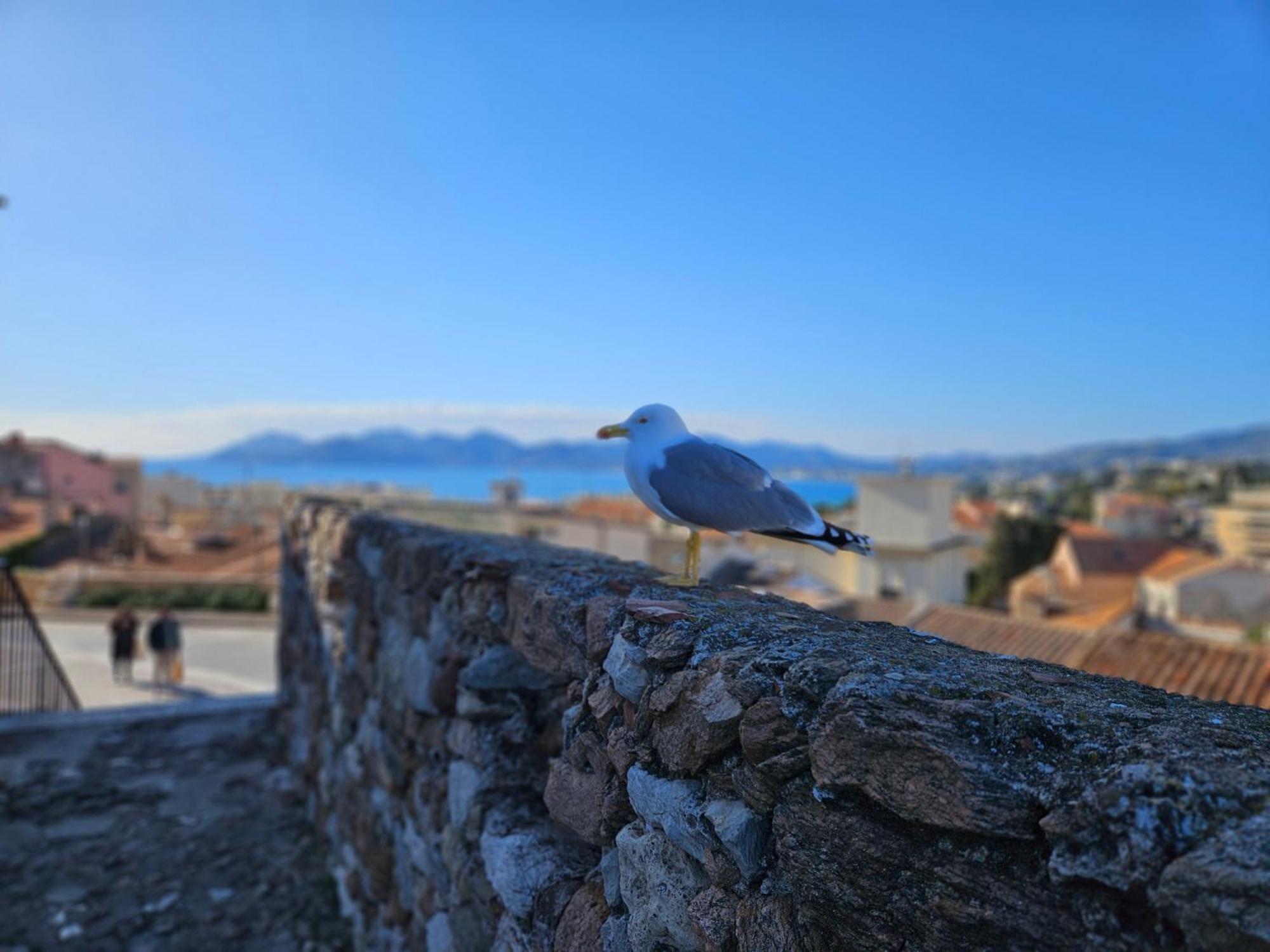 Apartmán Sweet Azur - Host Provence Le Cannet Exteriér fotografie